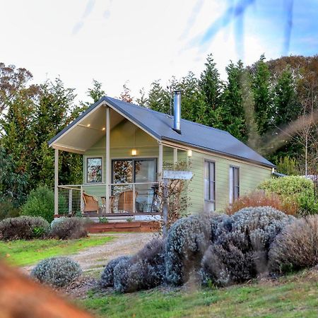 Grace Cottages Uralla Zewnętrze zdjęcie